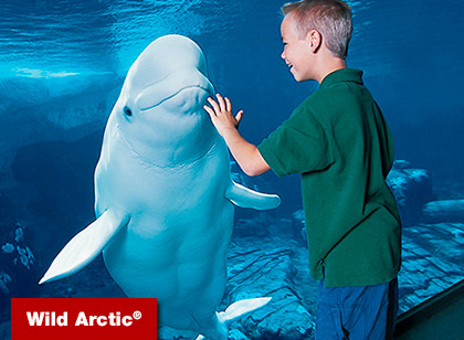 SeaWorld San Diego Kid´s Eat Free Single Day - Acima de 3 anos
